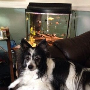 Meet your Posher, Jonny